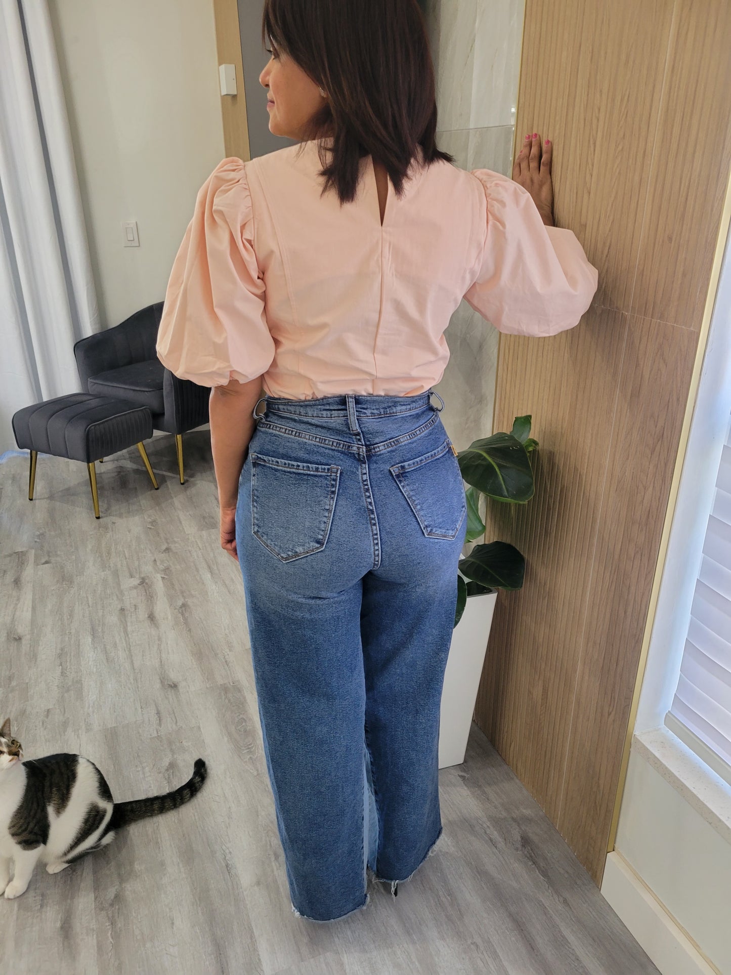 Peach Puff Sleeve Top